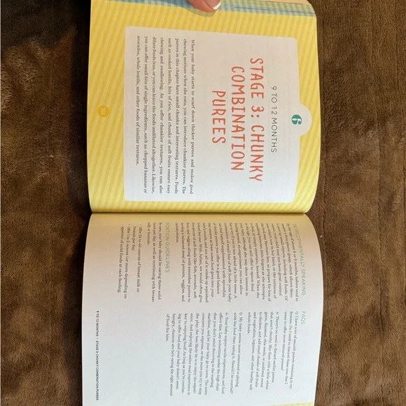 The Big Book of Organic Baby Food by Stephanie Middleberg - Picture 5 of 7